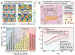 Thermo-Electro-Magnetic Interactions and ≈1nm Fe Interfacial Layer Realize High Average ZT  in Fe/Mg3(Sb,Bi)2 Below 300 °C