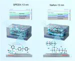 Comparative Analysis of Aromatic Sulfonated Polyamide and Perfluorinated Sulfonic Acid Ionomers: Implications for Polymer Electrolyte Fuel Cell Performance